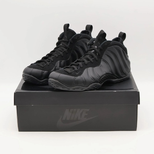 Fd5855 001 foamposite - foamposite, one